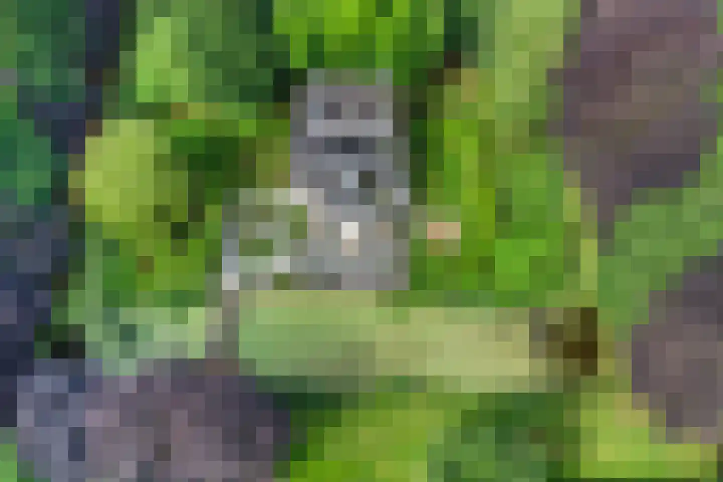 Rijksweg West 65 Westerbroek thumbnail 41