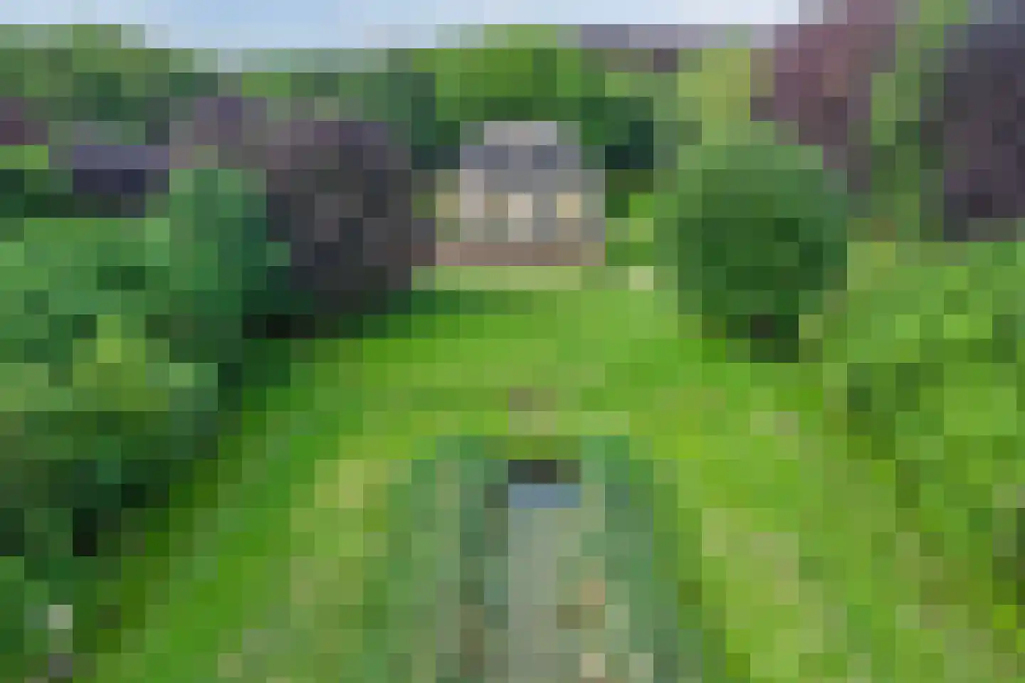 Rijksweg West 65 Westerbroek thumbnail 42