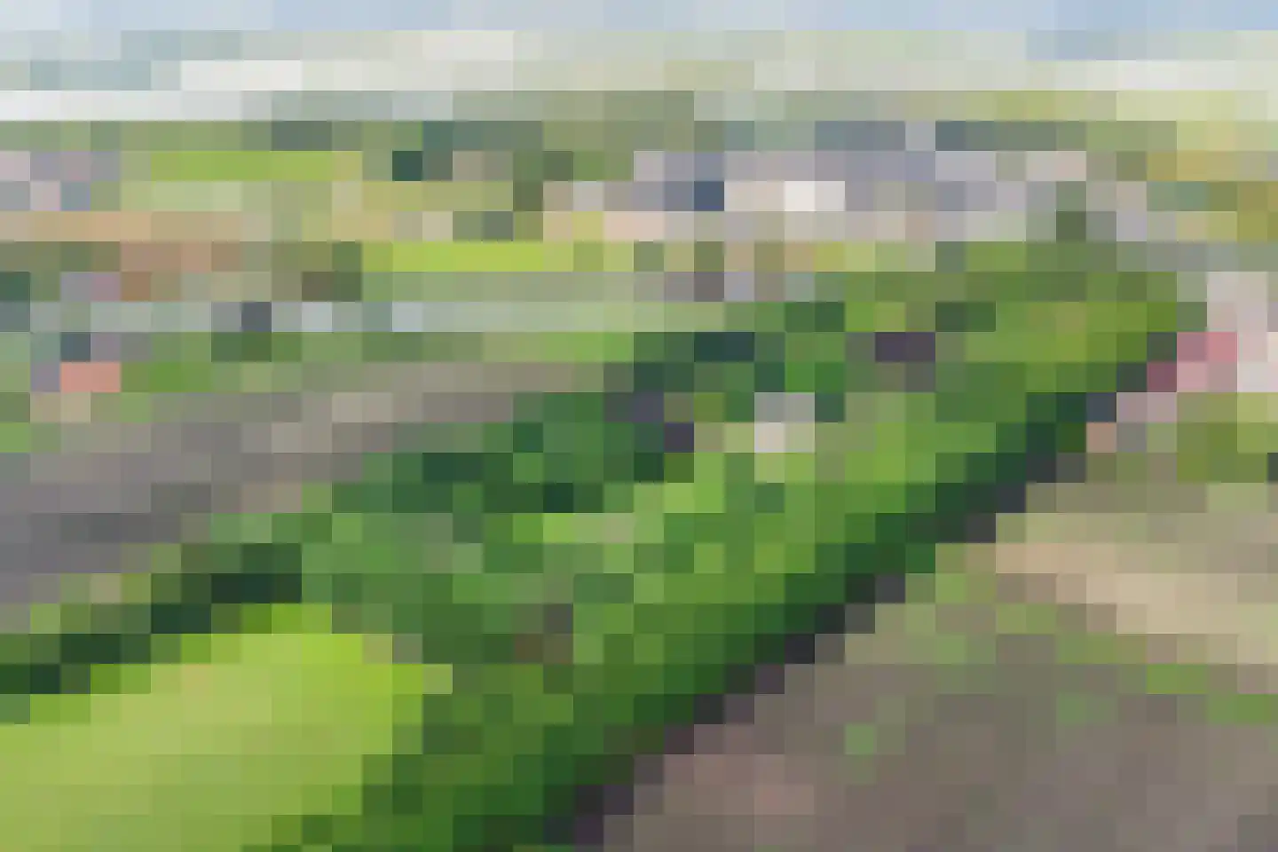 Rijksweg West 65 Westerbroek thumbnail 44