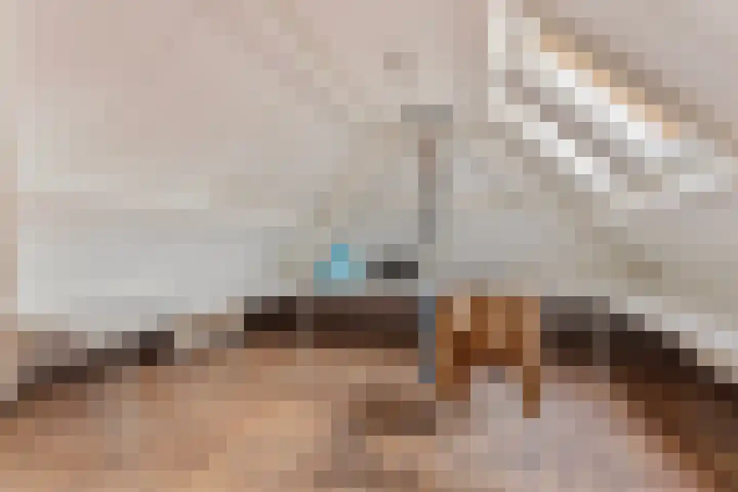 Rijksweg West 65 Westerbroek thumbnail 66