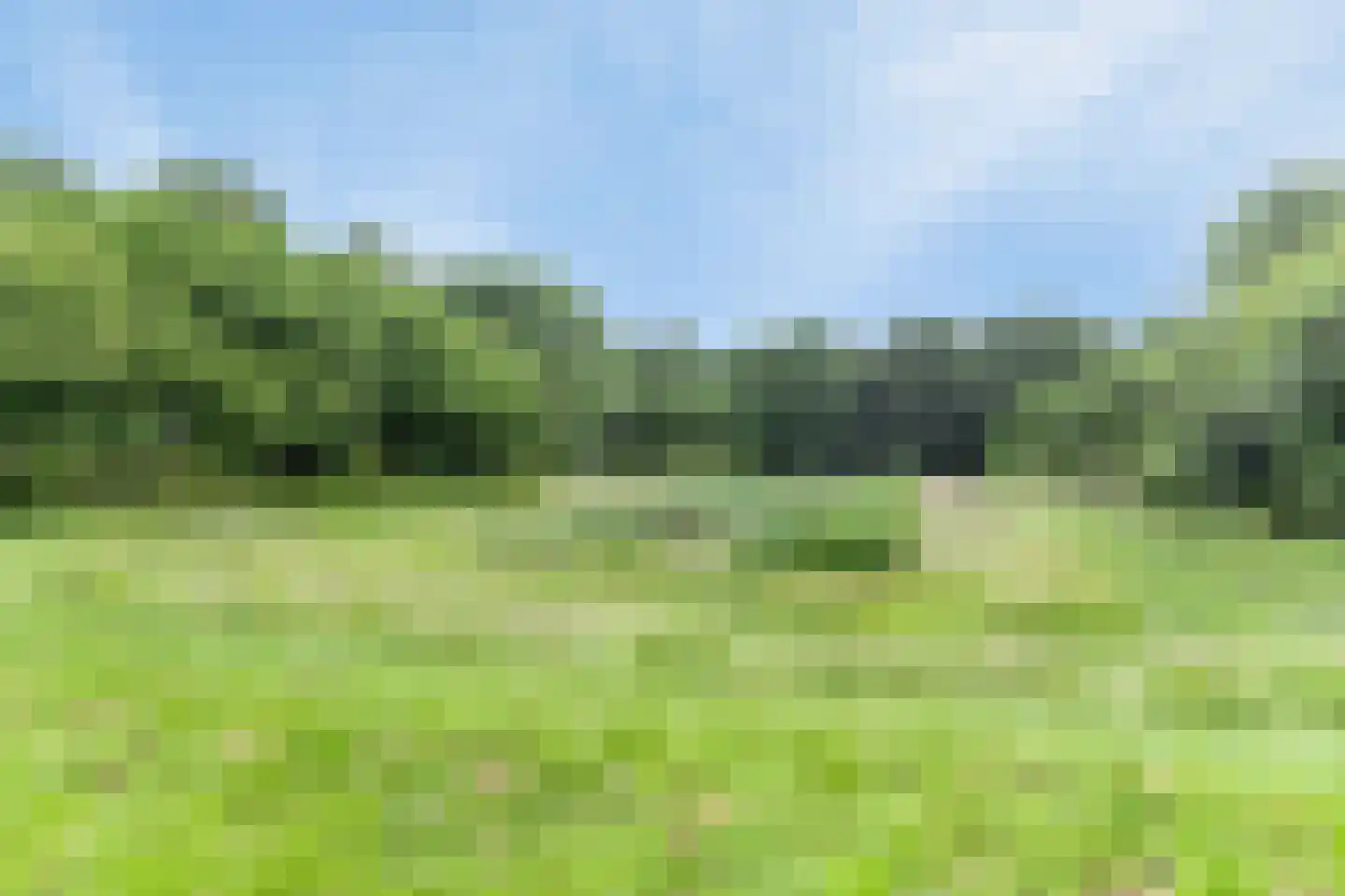 Rijksweg West 65 Westerbroek thumbnail 7