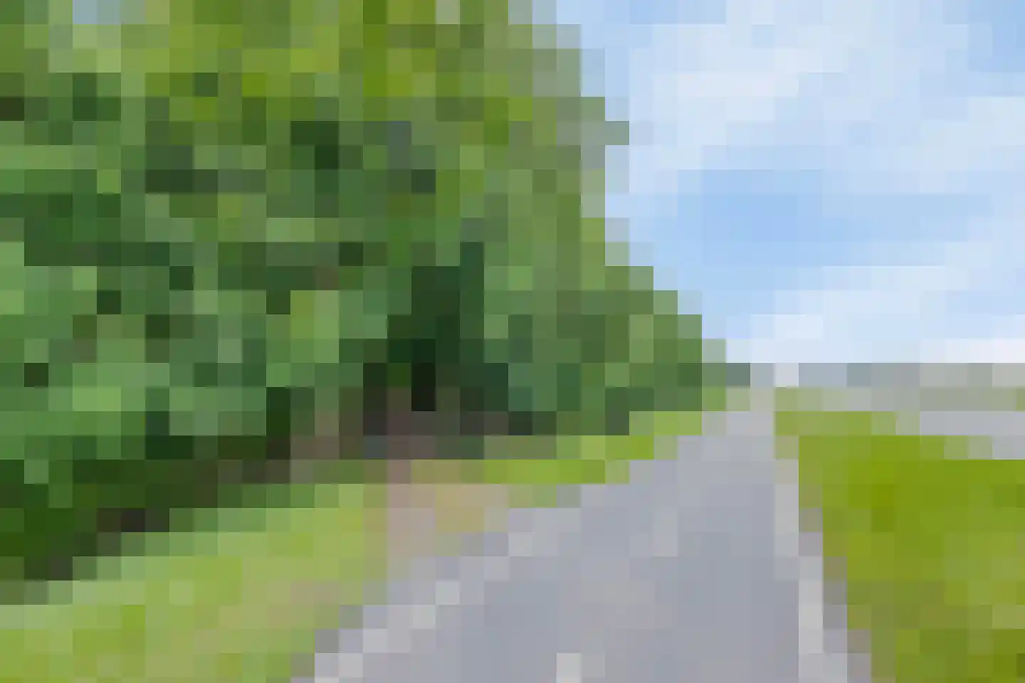 Rijksweg West 65 Westerbroek thumbnail 9