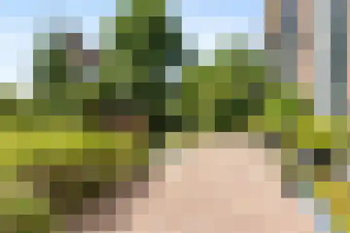 Rijksweg-West 89 Arnhem thumbnail 13