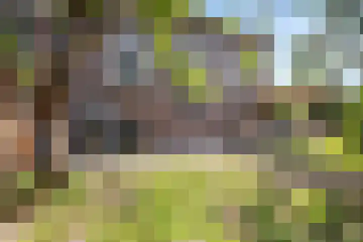 Rijksweg-West 89 Arnhem thumbnail 17