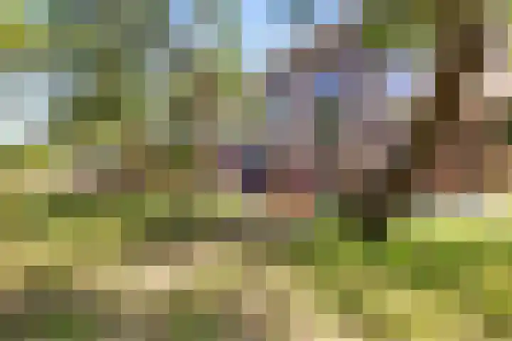 Rijksweg-West 89 Arnhem thumbnail 18