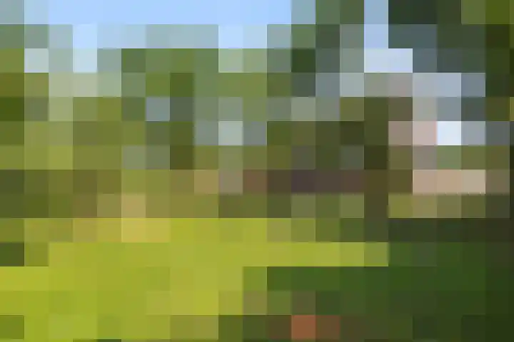 Rijksweg-West 89 Arnhem thumbnail 20