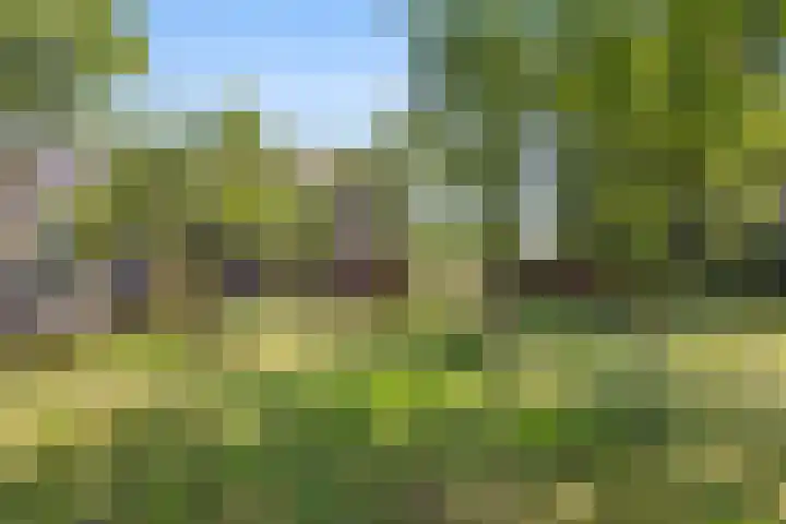 Rijksweg-West 89 Arnhem thumbnail 21