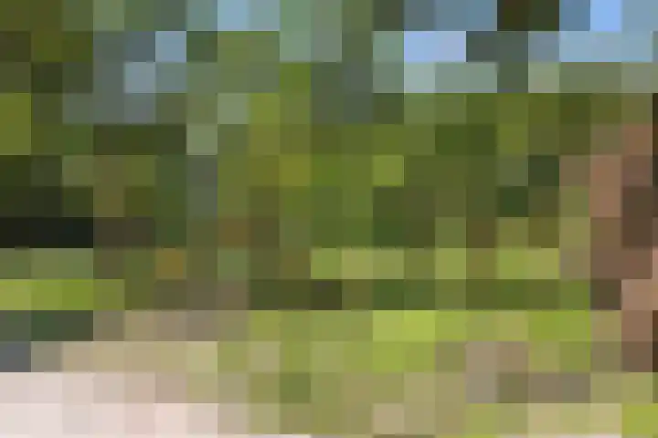 Rijksweg-West 89 Arnhem thumbnail 22