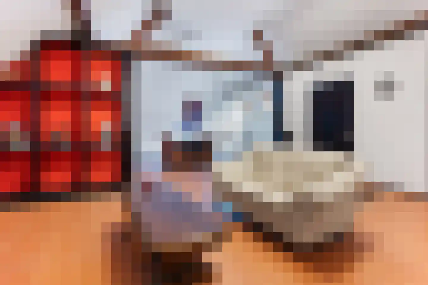Rijksweg Zuid 101 Sittard thumbnail 13