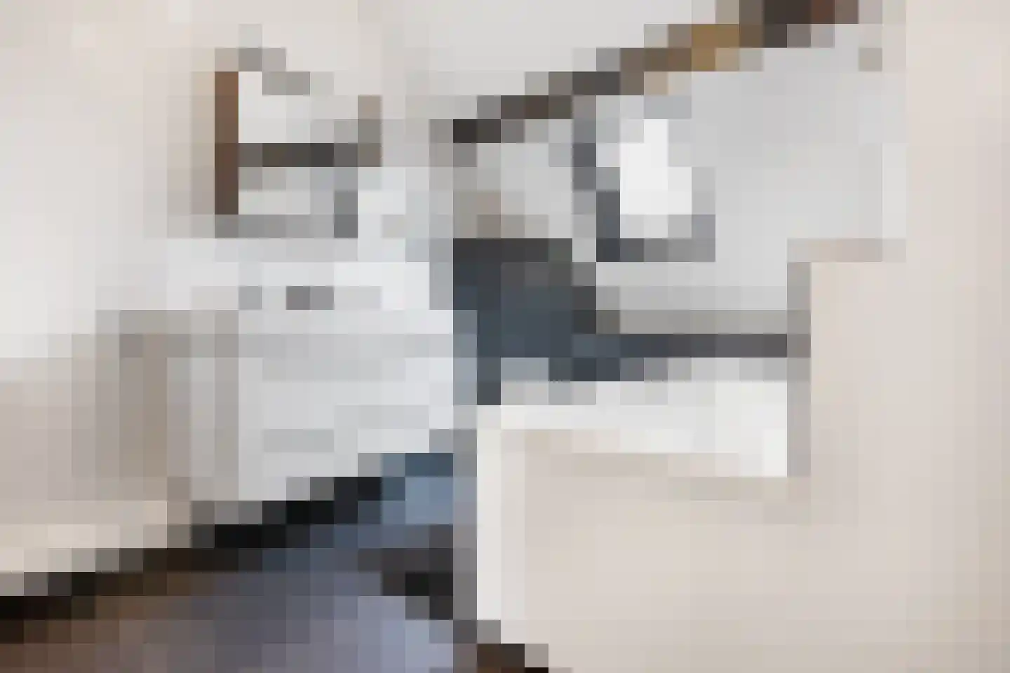 Rijksweg Zuid 101 Sittard thumbnail 21