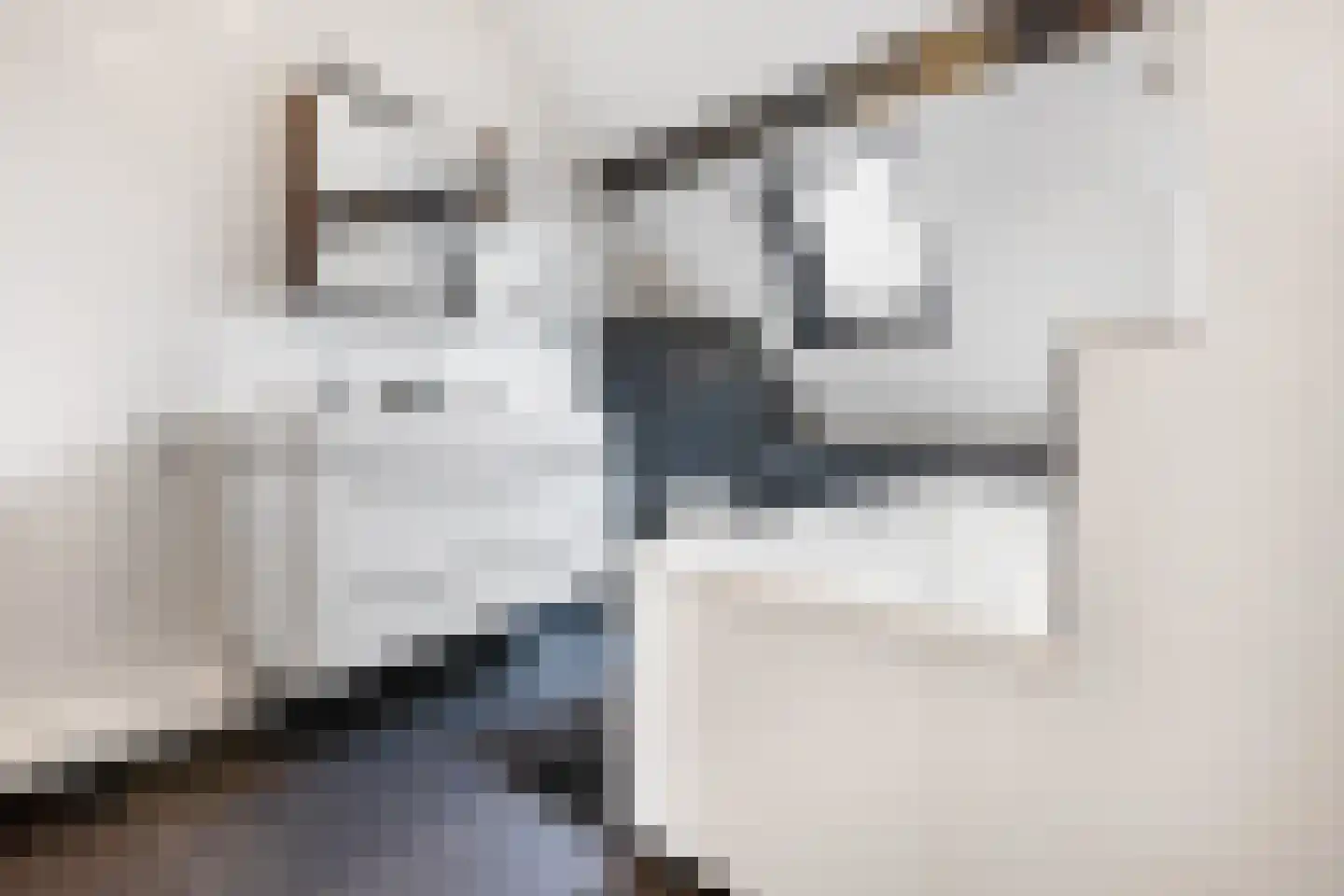 Rijksweg Zuid 101 Sittard thumbnail 21
