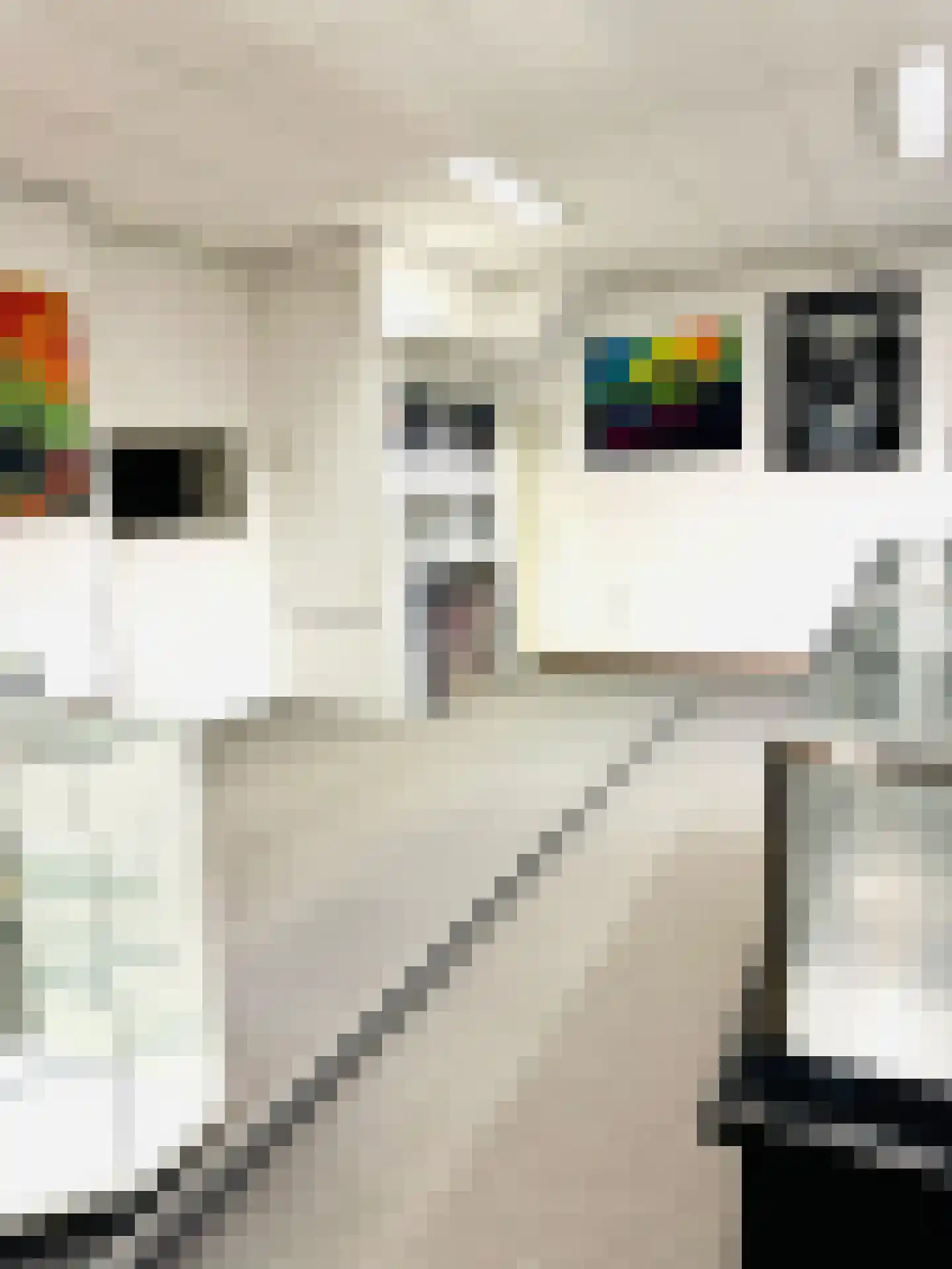 Rijksweg Zuid 101 Sittard thumbnail 6