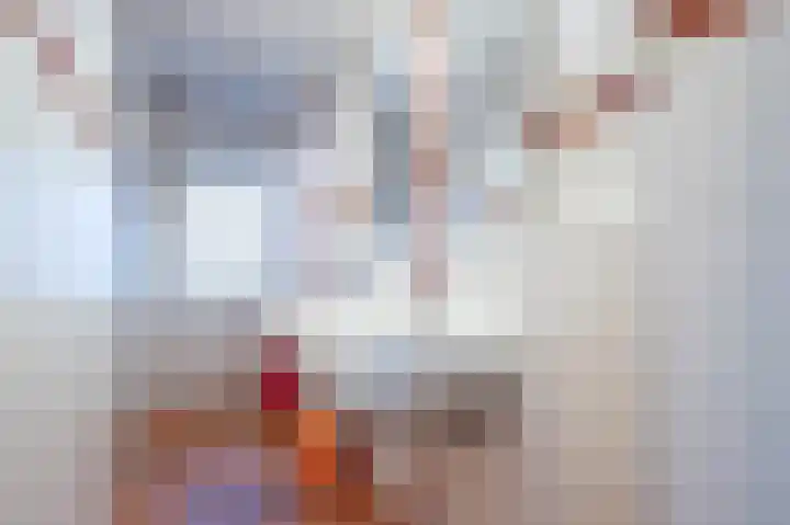Rijksweg Zuid 105 B Geleen thumbnail 31