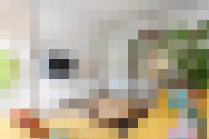 Rijksweg Zuid 105 B Geleen thumbnail 5