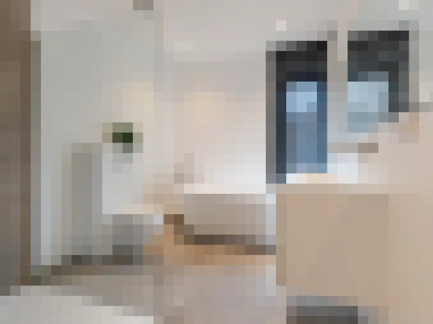 Rijksweg Zuid 107 A Geleen thumbnail 26