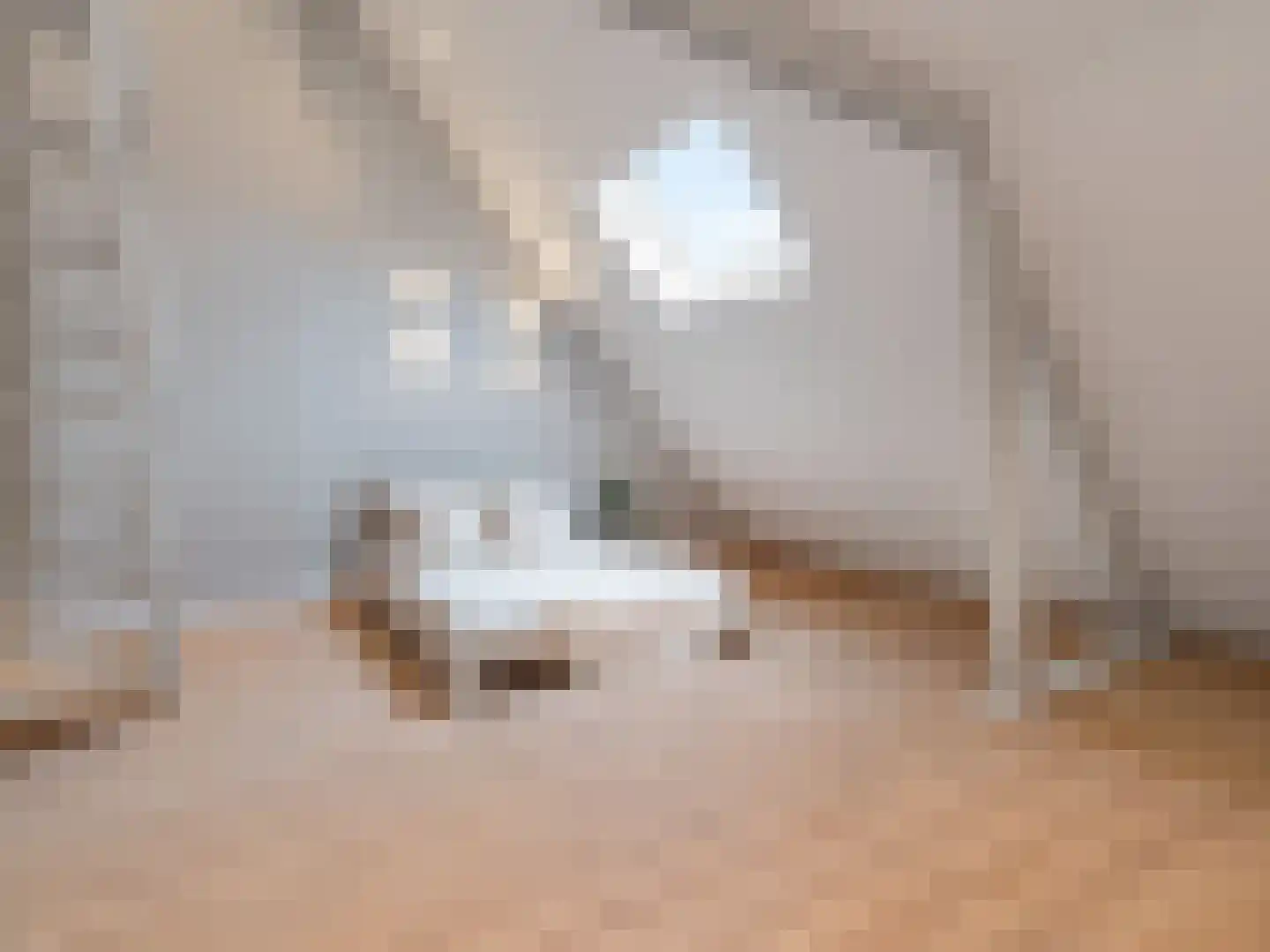 Rijksweg Zuid 107 A Geleen thumbnail 30