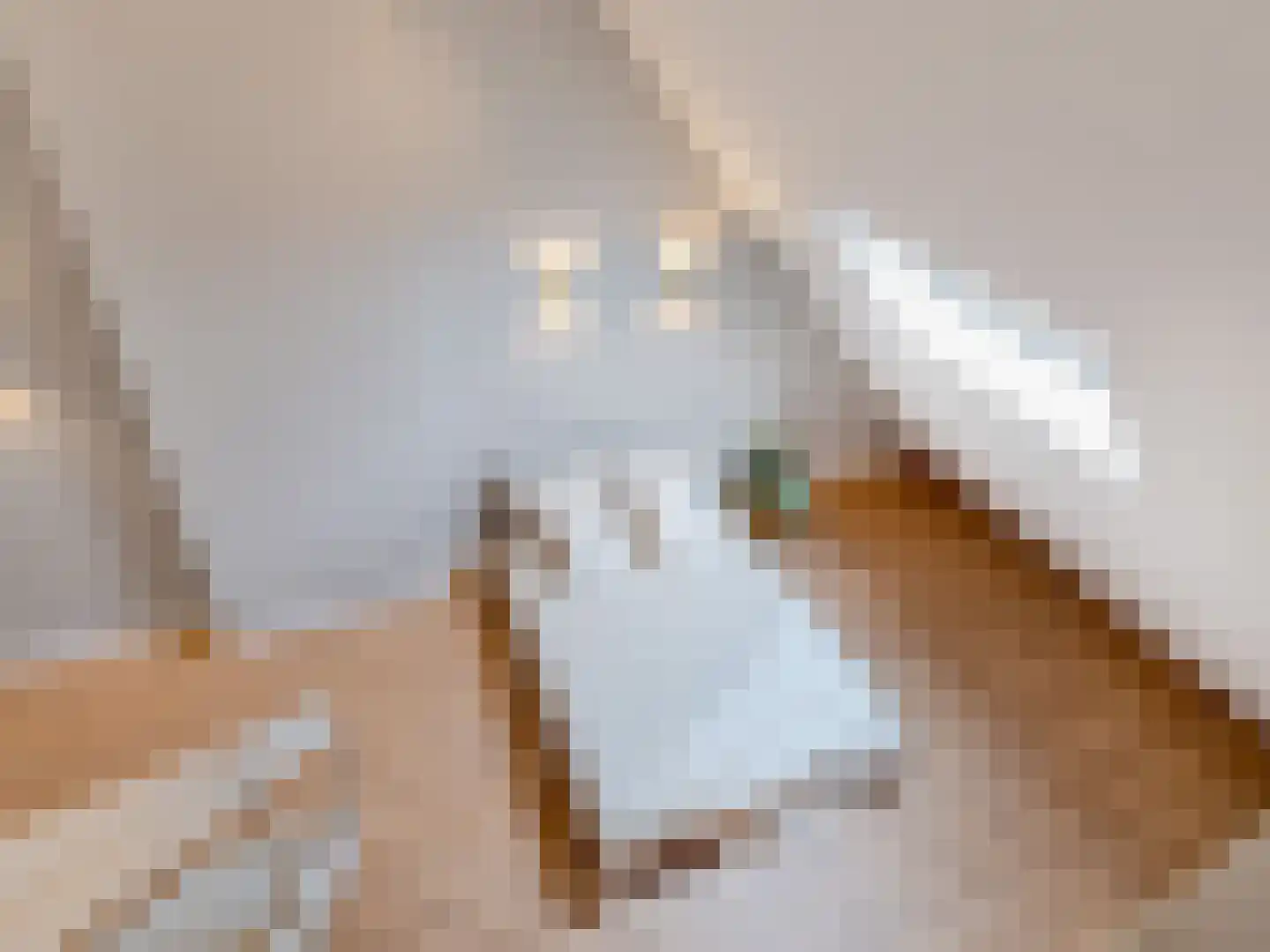 Rijksweg Zuid 107 A Geleen thumbnail 33