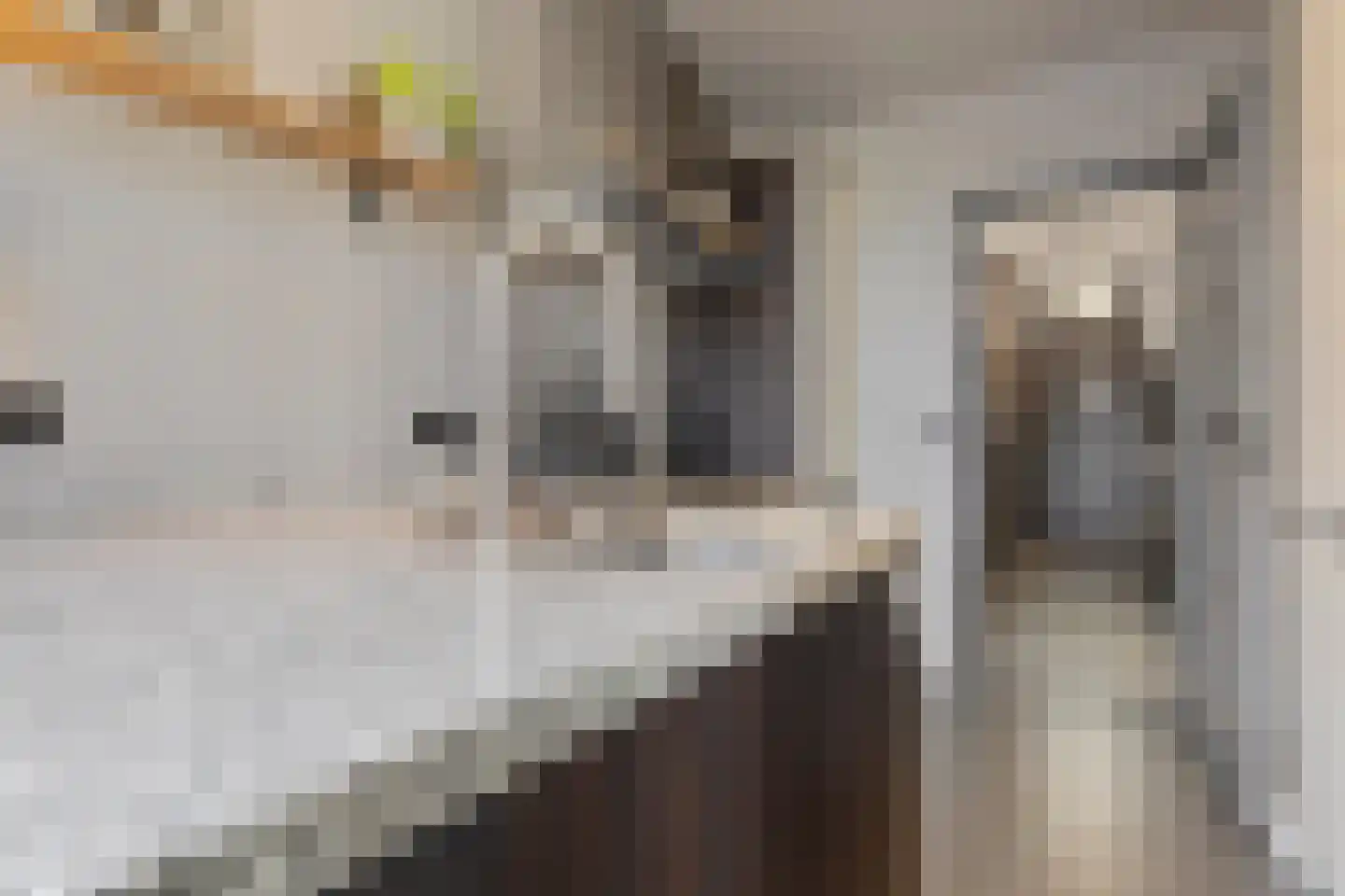 Rijksweg Zuid 113 A Geleen thumbnail 10