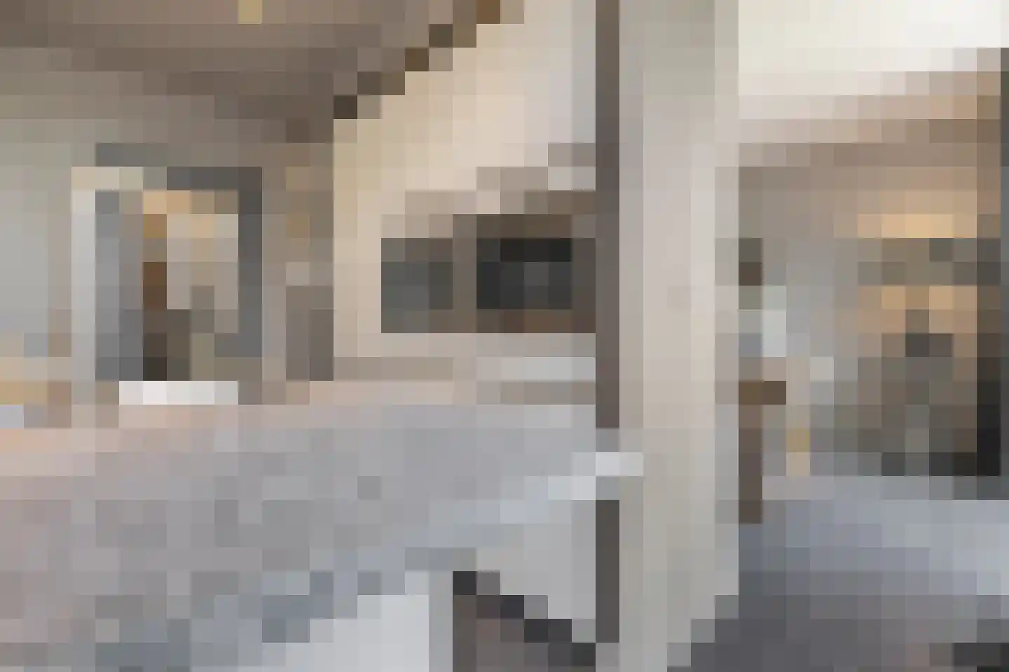 Rijksweg Zuid 113 A Geleen thumbnail 11