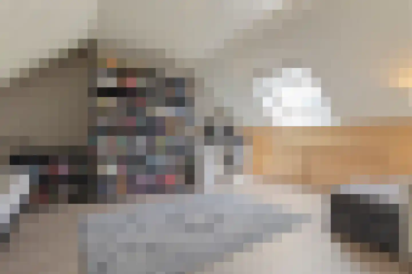 Rijksweg Zuid 113 A Geleen thumbnail 32