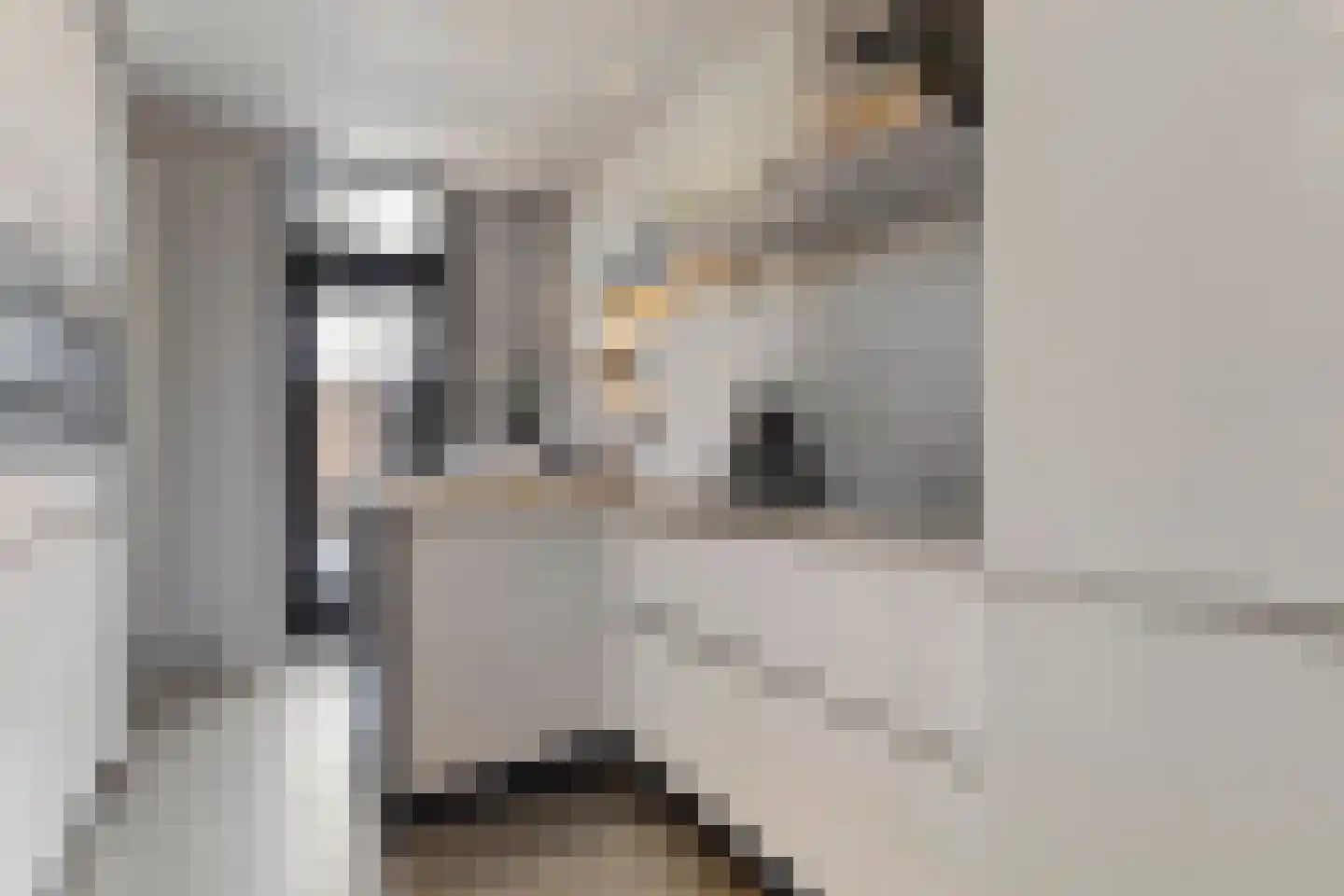 Rijksweg Zuid 113 A Geleen thumbnail 8