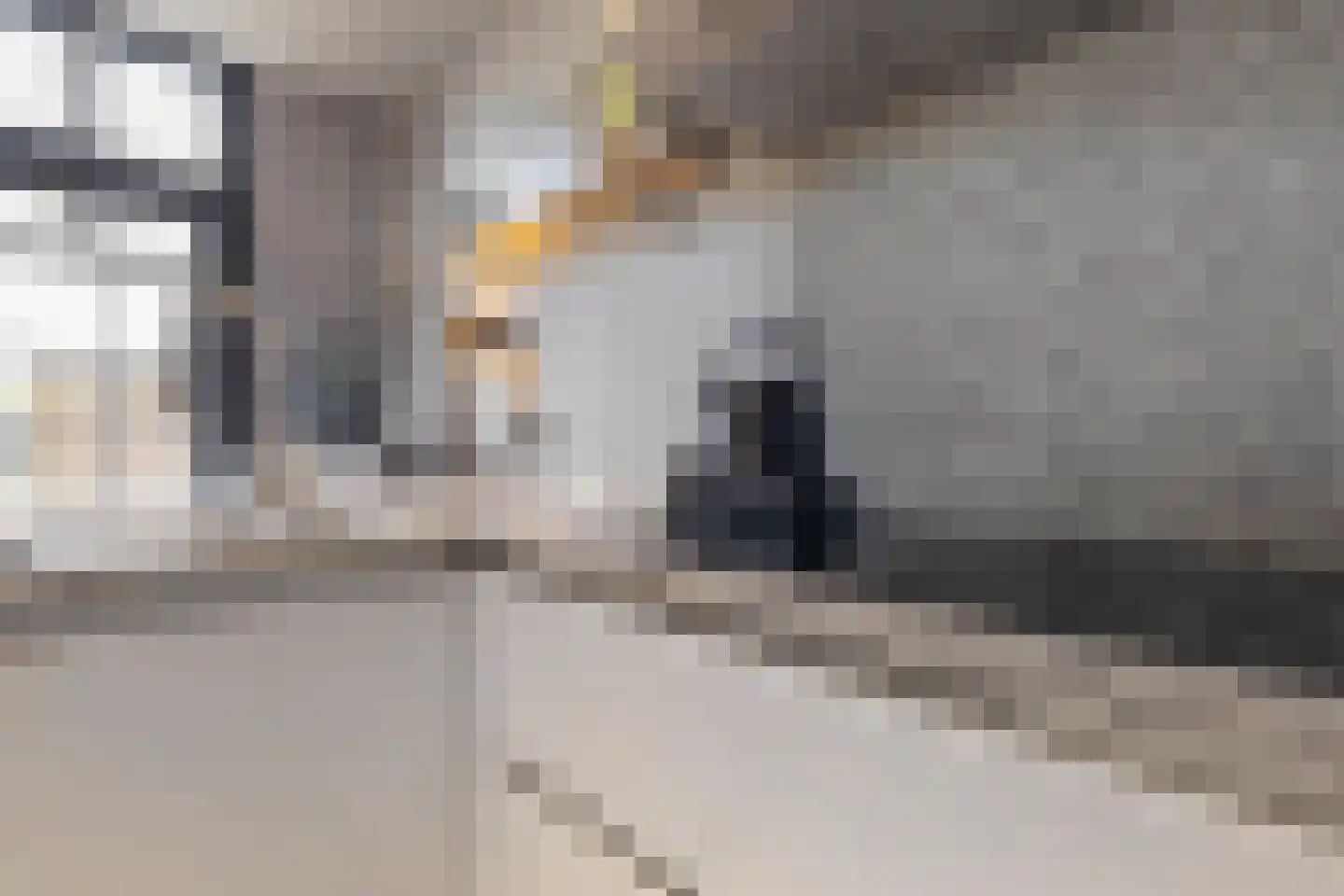 Rijksweg Zuid 113 A Geleen thumbnail 9