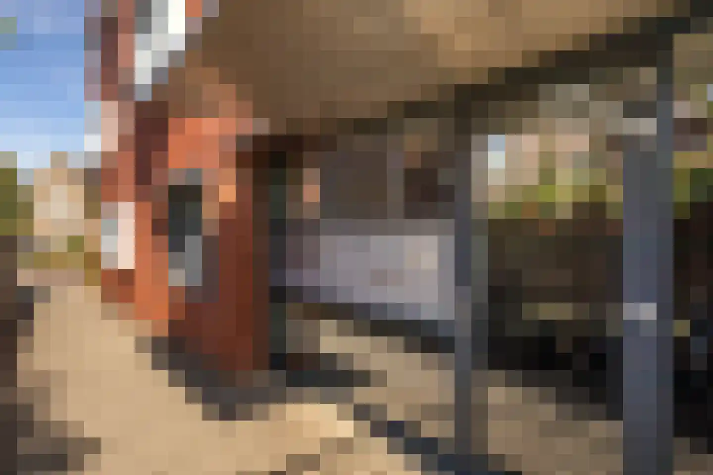 Rijksweg Zuid 122 8 Sittard thumbnail 7