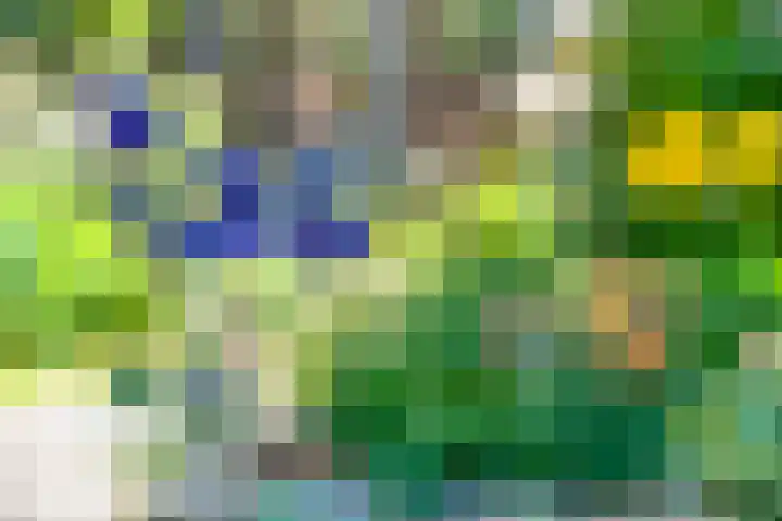 Rijksweg Zuid 130 Geleen thumbnail 18