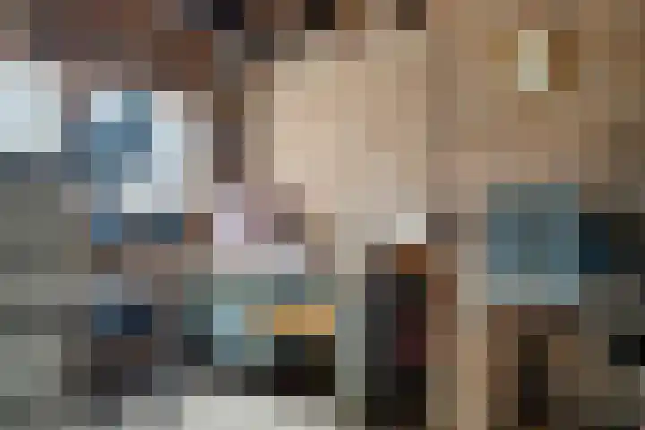 Rijksweg Zuid 130 Geleen thumbnail 30