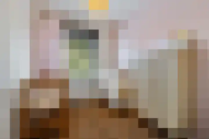 Rijksweg Zuid 132 B Geleen thumbnail 17