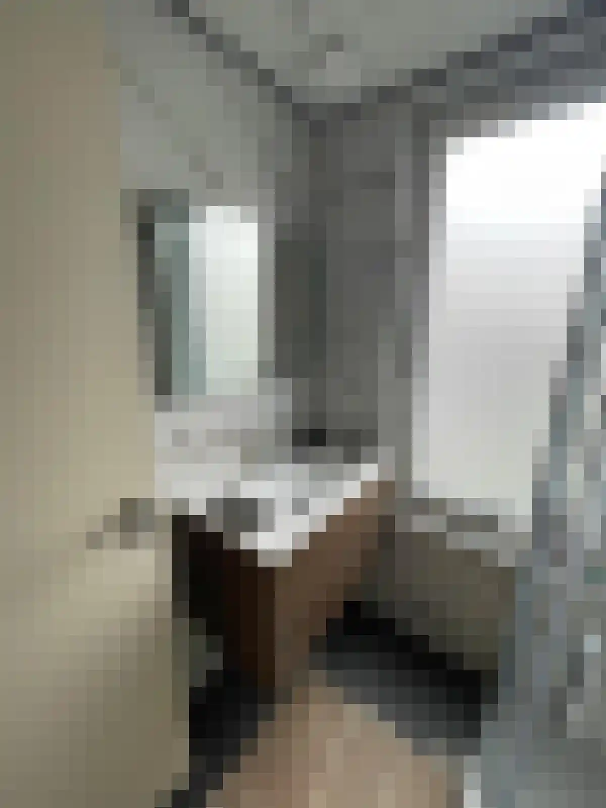 Rijksweg Zuid 148 A Geleen thumbnail 5