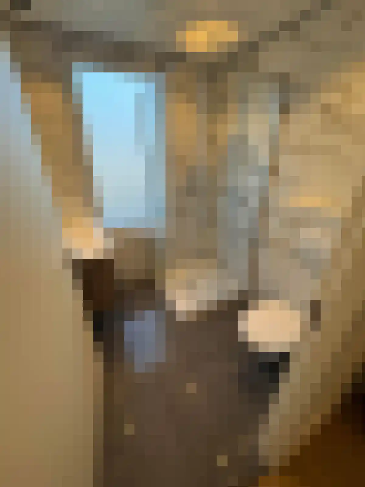 Rijksweg Zuid 148 A Geleen thumbnail 6