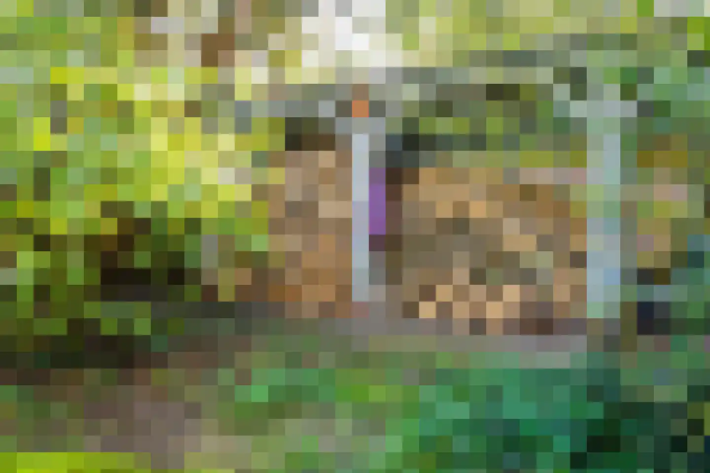 Rijksweg-Zuid 16 Wellerlooi thumbnail 37