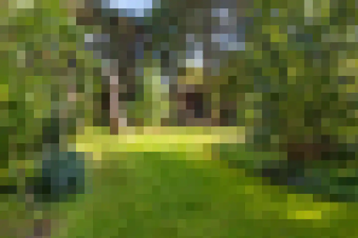 Rijksweg-Zuid 16 Wellerlooi thumbnail 7