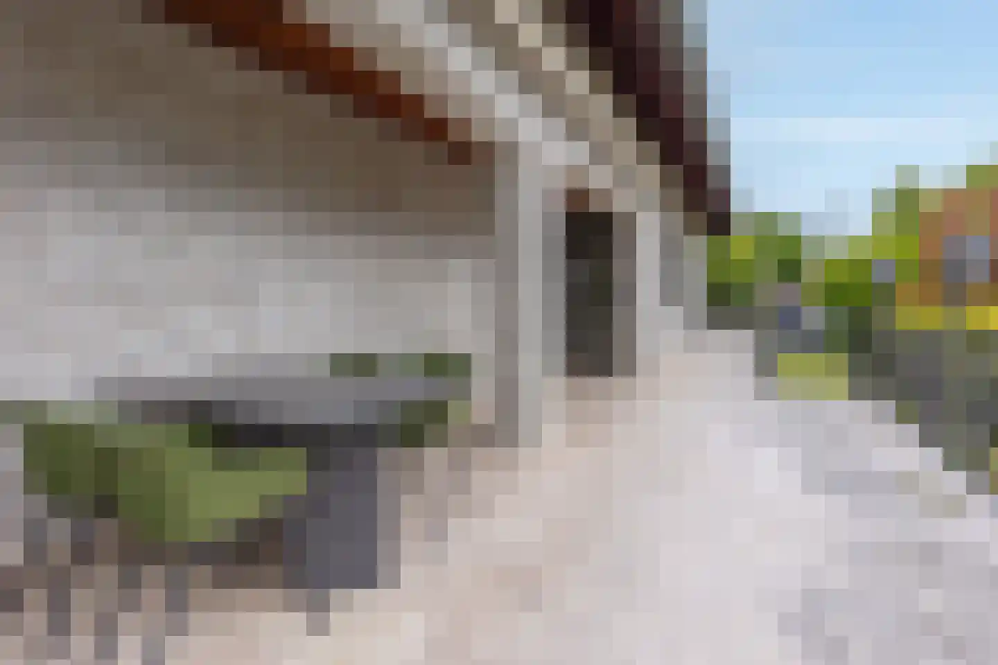 Rijksweg Zuid 175 Sittard thumbnail 22