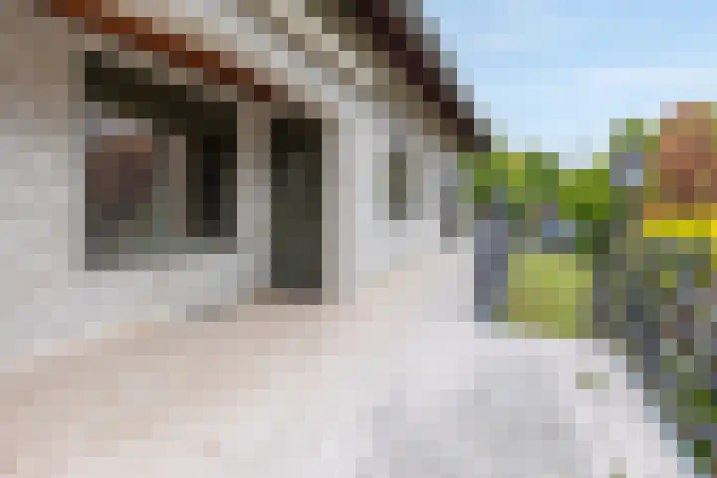 Rijksweg Zuid 175 Sittard thumbnail 23