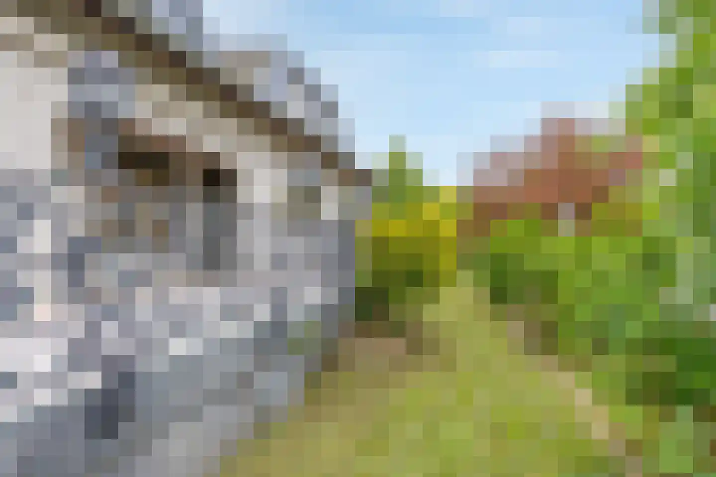 Rijksweg Zuid 175 Sittard thumbnail 26
