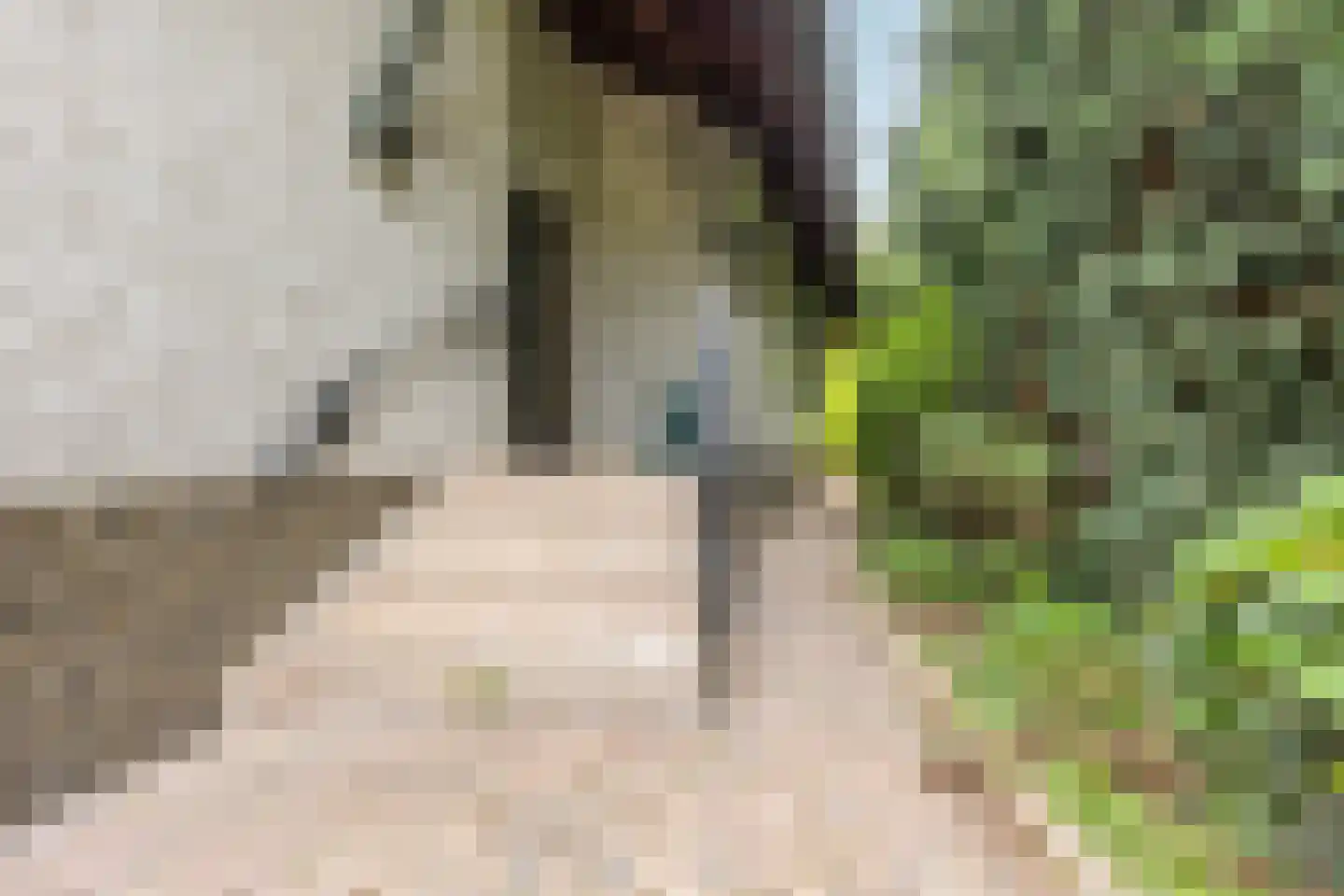 Rijksweg Zuid 175 Sittard thumbnail 6