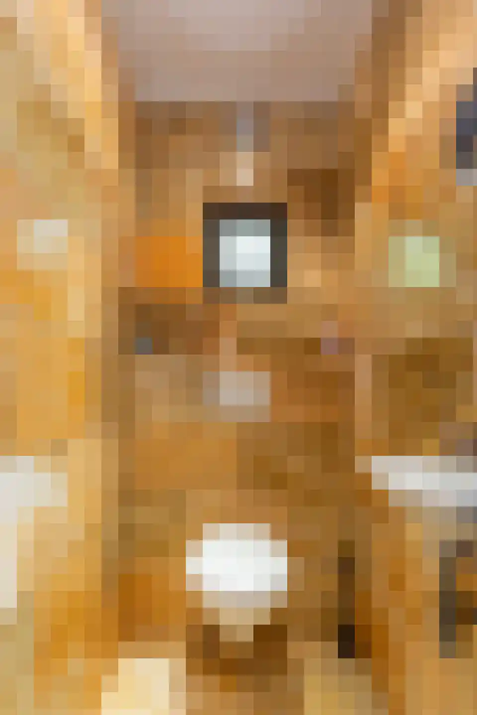 Rijksweg Zuid 175 Sittard thumbnail 8