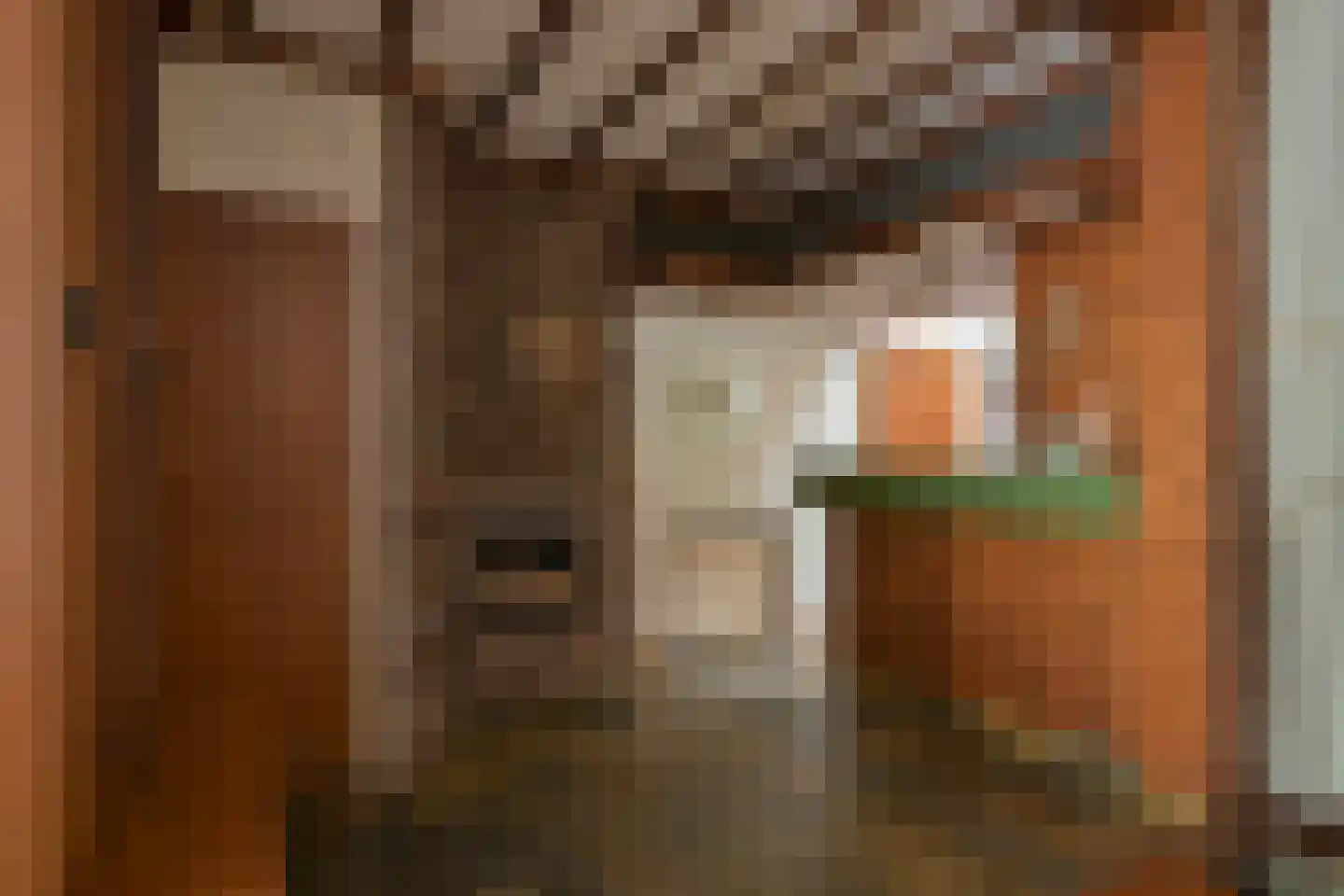 Rijksweg Zuid 190 Geleen thumbnail 11