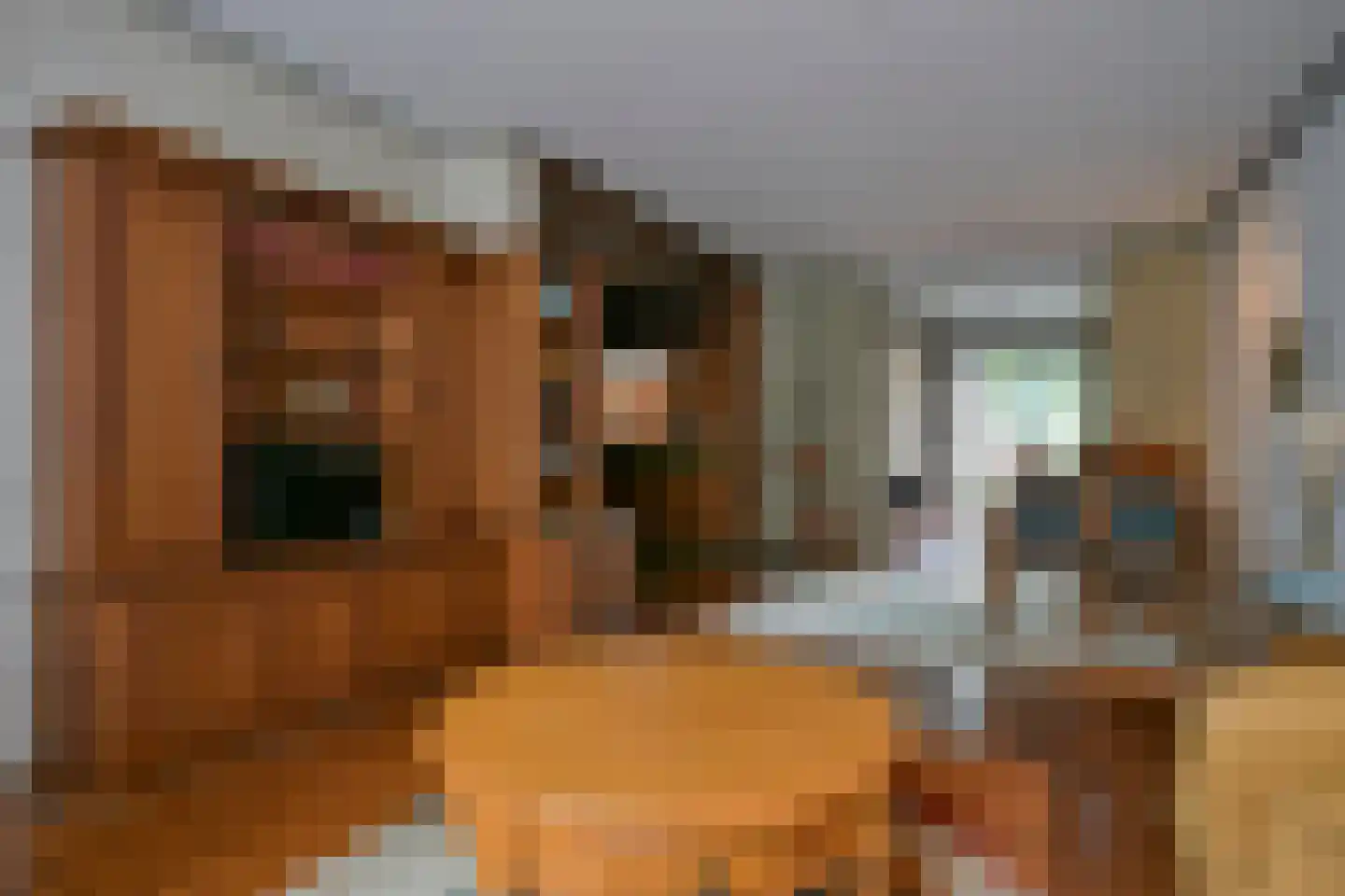Rijksweg Zuid 190 Geleen thumbnail 9