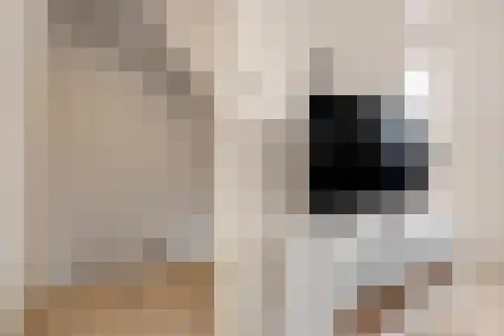 Rijksweg Zuid 208 A Geleen thumbnail 4