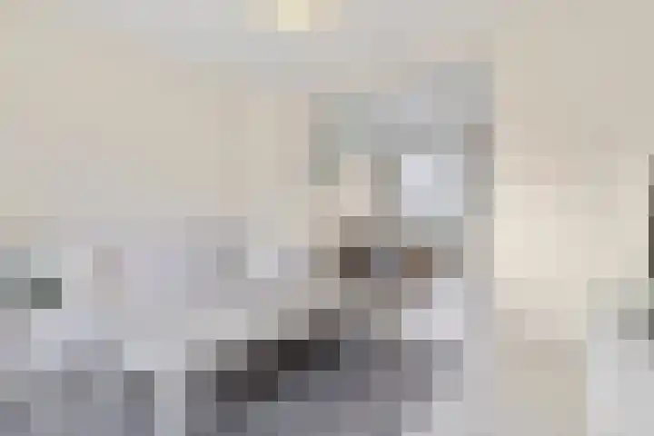 Rijksweg Zuid 208 A Geleen thumbnail 5