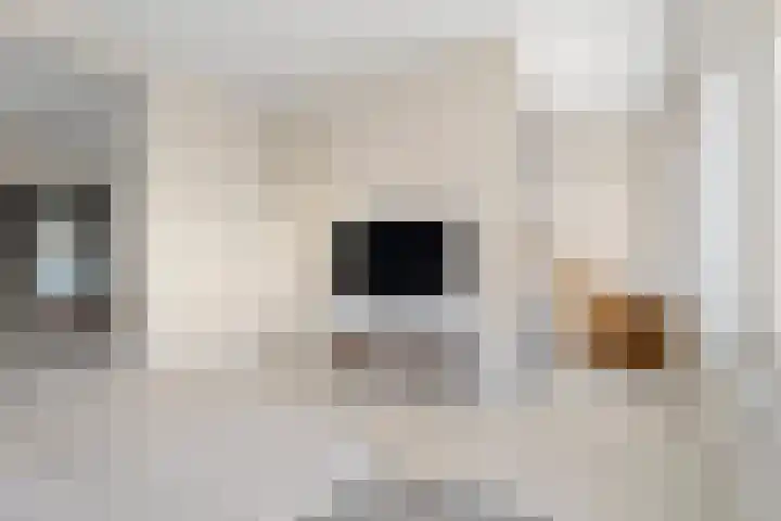 Rijksweg Zuid 208 A Geleen thumbnail 7