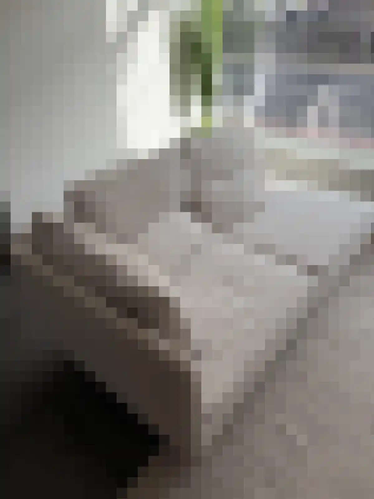 Rijksweg Zuid 22 E Swalmen thumbnail 4