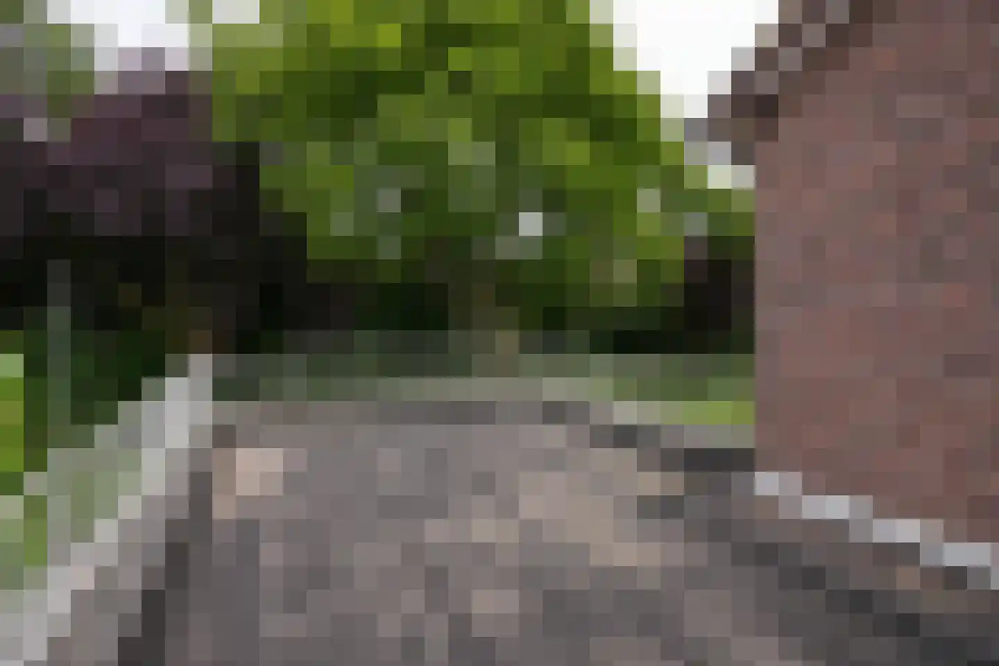 Rijksweg Zuid 226 Geleen thumbnail 16