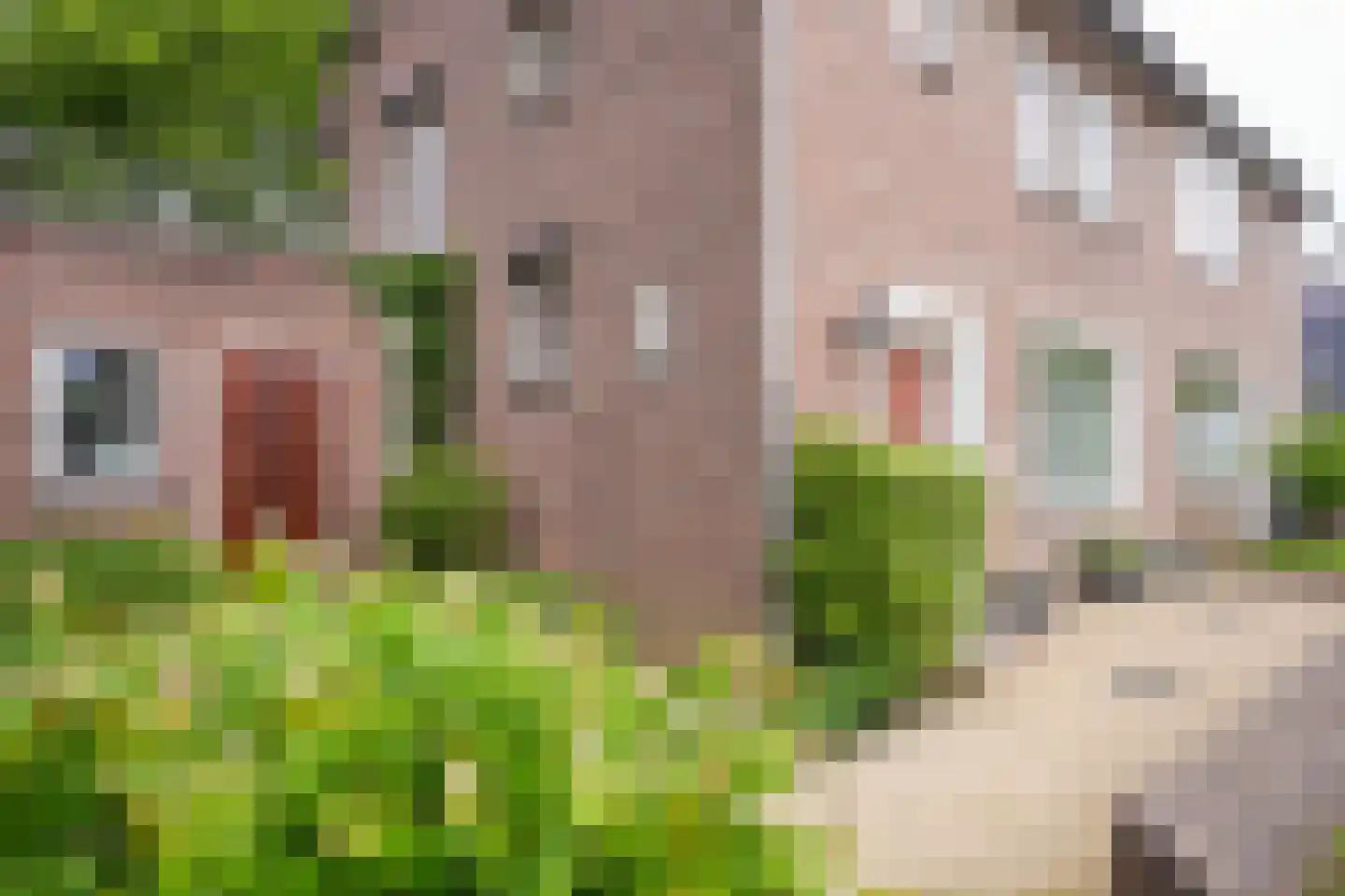Rijksweg Zuid 226 Geleen foto 2