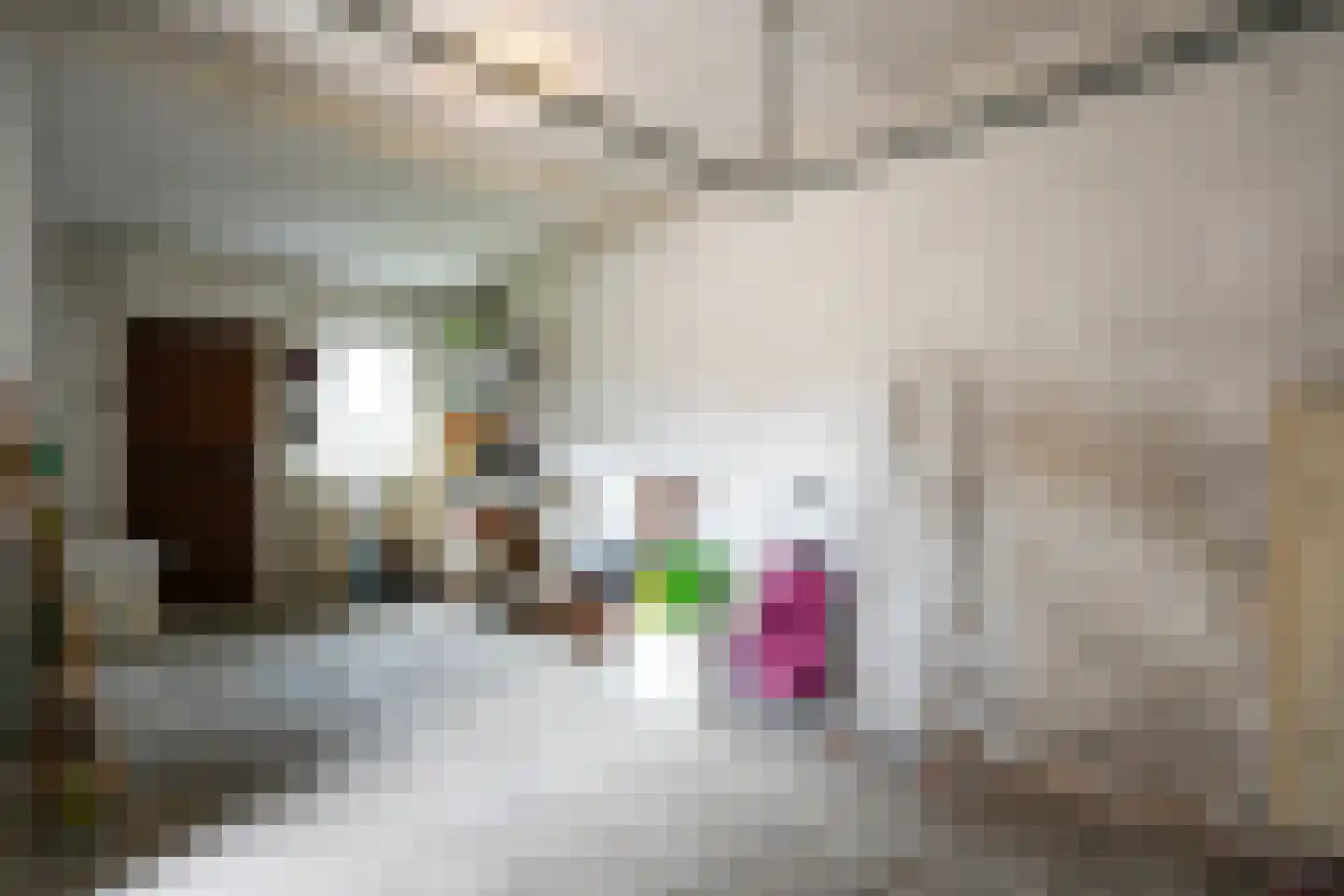 Rijksweg Zuid 226 Geleen thumbnail 28