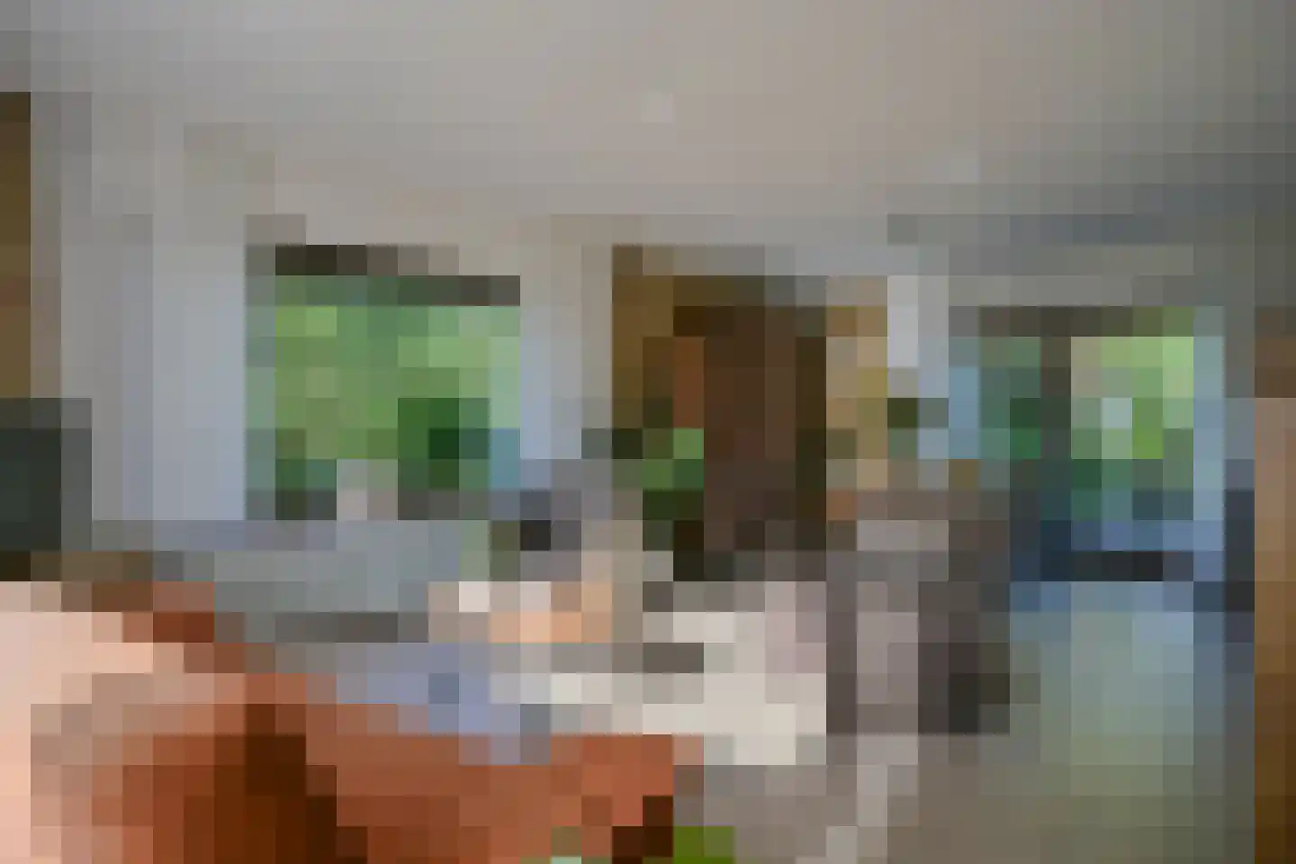 Rijksweg Zuid 232 Geleen thumbnail 11