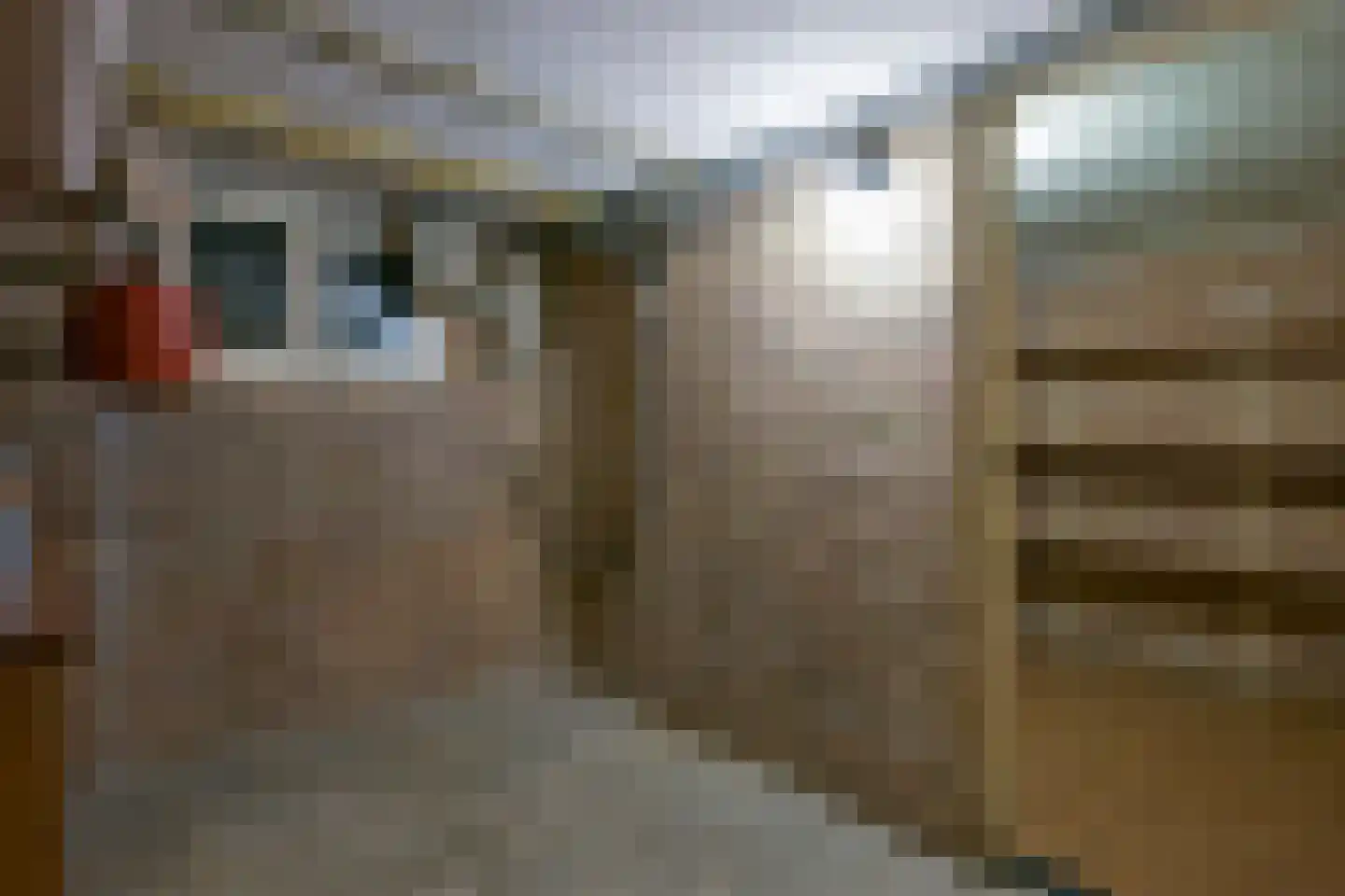 Rijksweg Zuid 232 Geleen thumbnail 37